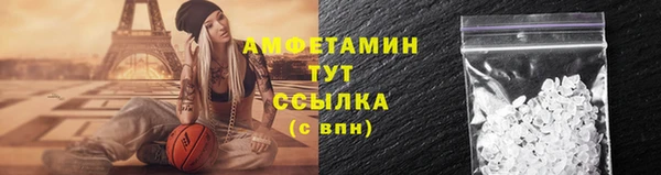 дмт Богородицк