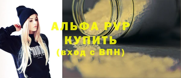 PSILOCYBIN Богородск