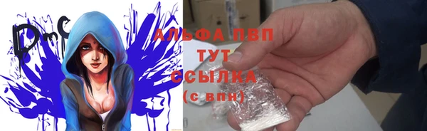 дмт Богородицк