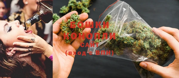 дмт Богородицк